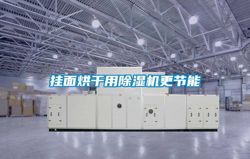 掛面烘干用除濕機更節能