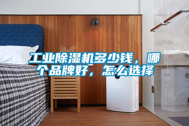 工業(yè)除濕機多少錢，哪個品牌好，怎么選擇