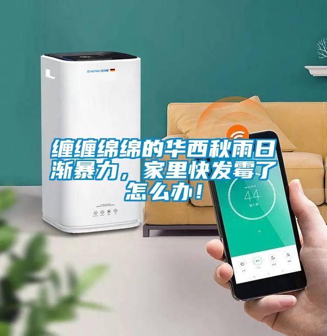 纏纏綿綿的華西秋雨日漸暴力，家里快發霉了怎么辦！