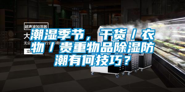 潮濕季節(jié)，干貨／衣物／貴重物品除濕防潮有何技巧？