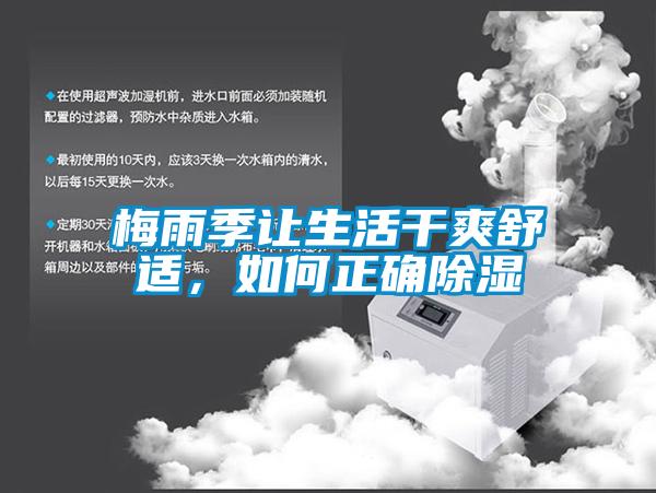 梅雨季讓生活干爽舒適，如何正確除濕