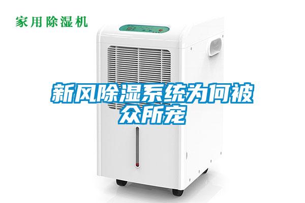 新風除濕系統為何被眾所寵