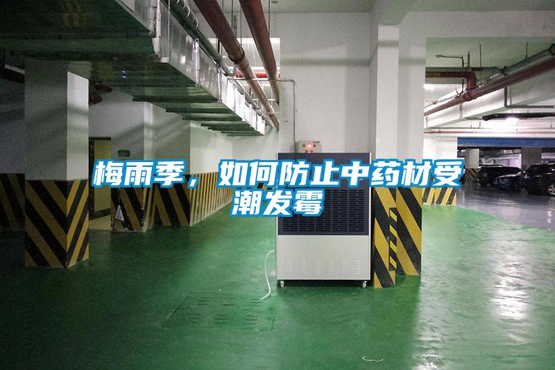 梅雨季，如何防止中藥材受潮發霉