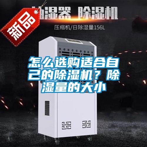 怎么選購適合自己的除濕機？除濕量的大小