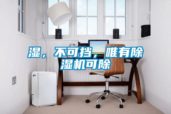 濕，不可擋，唯有除濕機可除