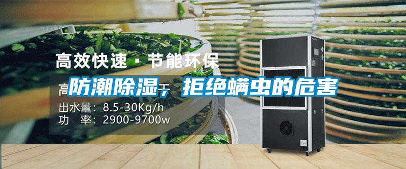 防潮除濕，拒絕螨蟲的危害