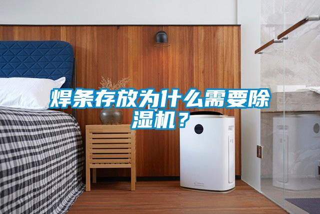 焊條存放為什么需要除濕機(jī)？