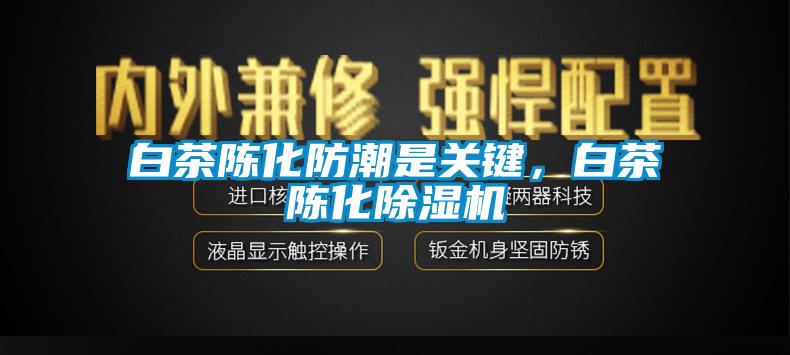 白茶陳化防潮是關(guān)鍵，白茶陳化除濕機(jī)