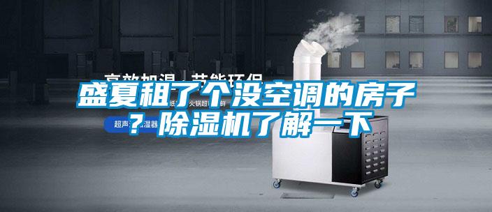 盛夏租了個(gè)沒(méi)空調(diào)的房子？除濕機(jī)了解一下