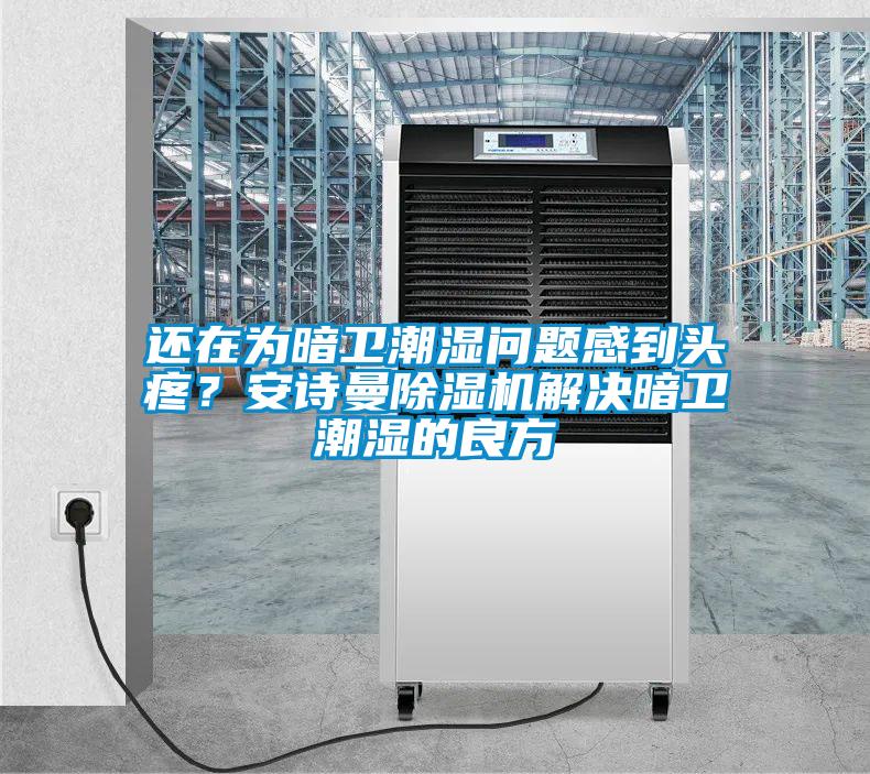 還在為暗衛(wèi)潮濕問題感到頭疼？安詩曼除濕機(jī)解決暗衛(wèi)潮濕的良方