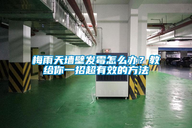 梅雨天墻壁發霉怎么辦？教給你一招超有效的方法