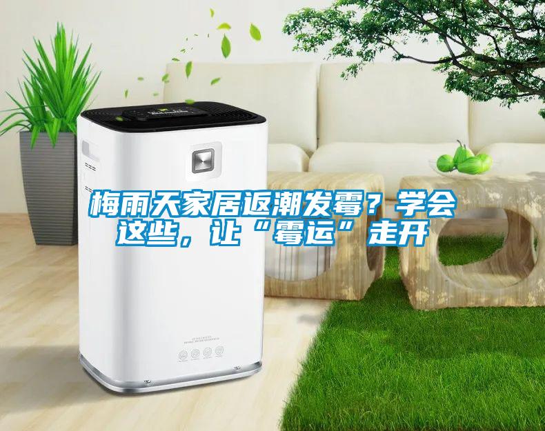 梅雨天家居返潮發霉？學會這些，讓“霉運”走開