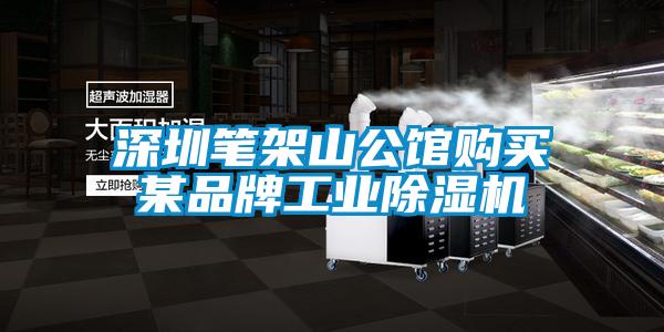 深圳筆架山公館購買某品牌工業(yè)除濕機