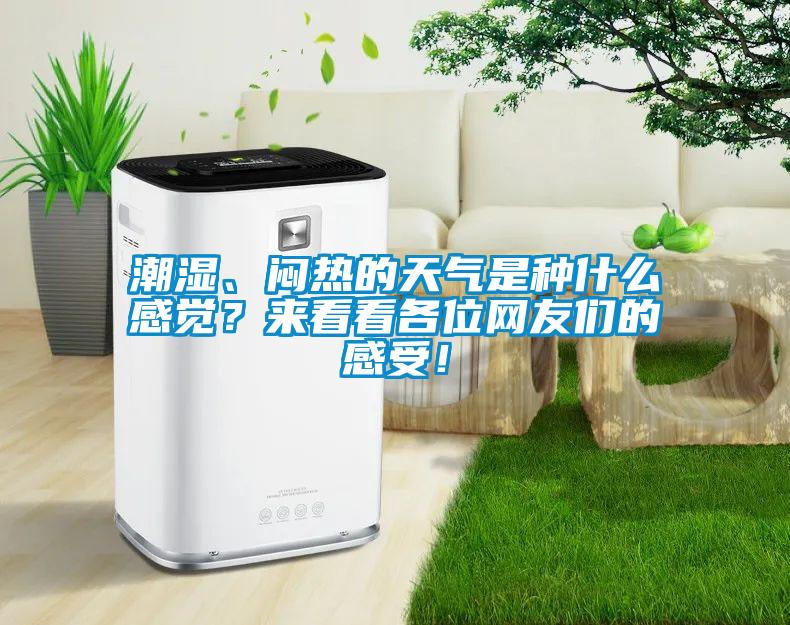 潮濕、悶熱的天氣是種什么感覺？來看看各位網(wǎng)友們的感受！