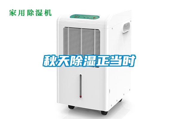 秋天除濕正當(dāng)時(shí)