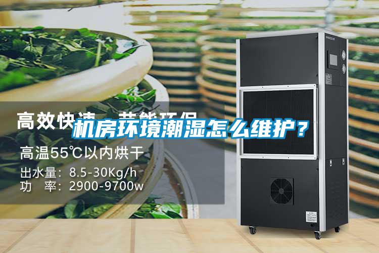 機房環境潮濕怎么維護？