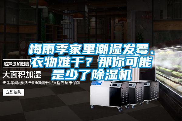 梅雨季家里潮濕發霉、衣物難干？那你可能是少了除濕機
