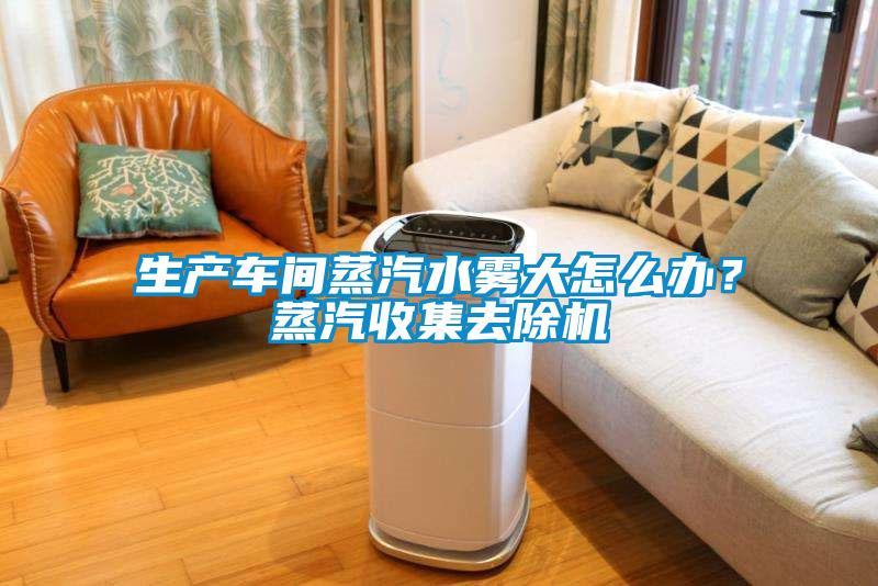 生產(chǎn)車間蒸汽水霧大怎么辦？蒸汽收集去除機(jī)