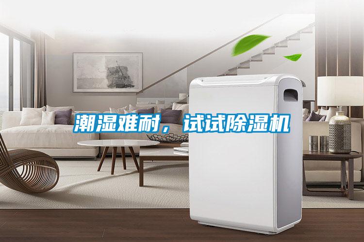 潮濕難耐，試試除濕機