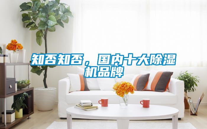 知否知否，國內十大除濕機品牌