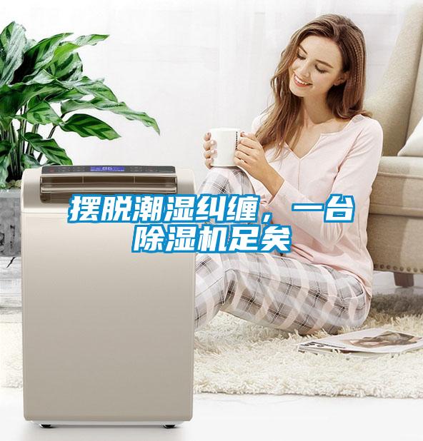 擺脫潮濕糾纏，一臺(tái)除濕機(jī)足矣