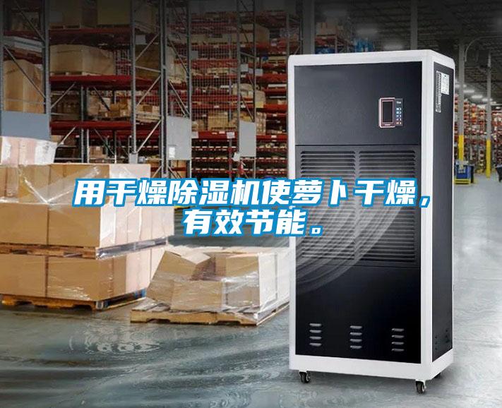 用干燥除濕機使蘿卜干燥，有效節能。