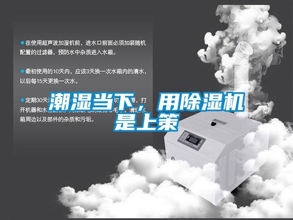 潮濕當下，用除濕機是上策