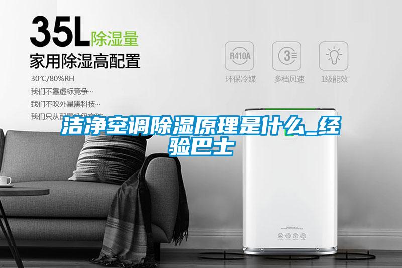 潔凈空調(diào)除濕原理是什么_經(jīng)驗(yàn)巴士