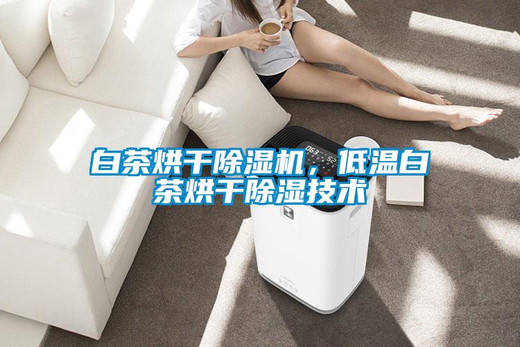 白茶烘干除濕機，低溫白茶烘干除濕技術