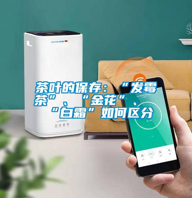 茶葉的保存：“發霉茶”、“金花”、“白霜”如何區分
