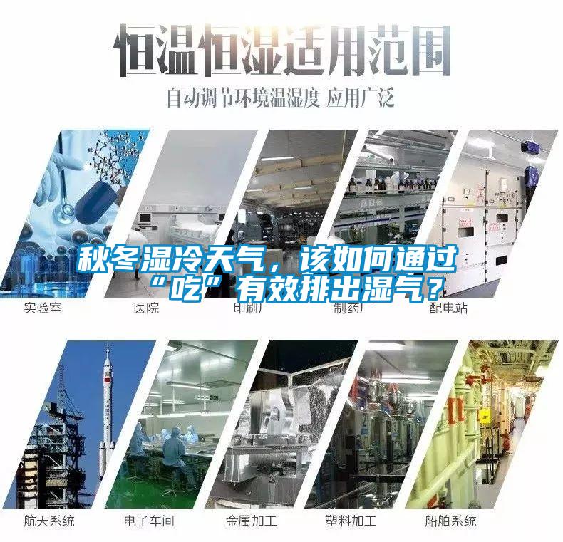 秋冬濕冷天氣，該如何通過“吃”有效排出濕氣？