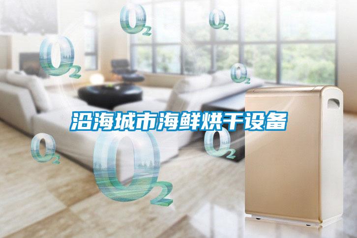 沿海城市海鮮烘干設備