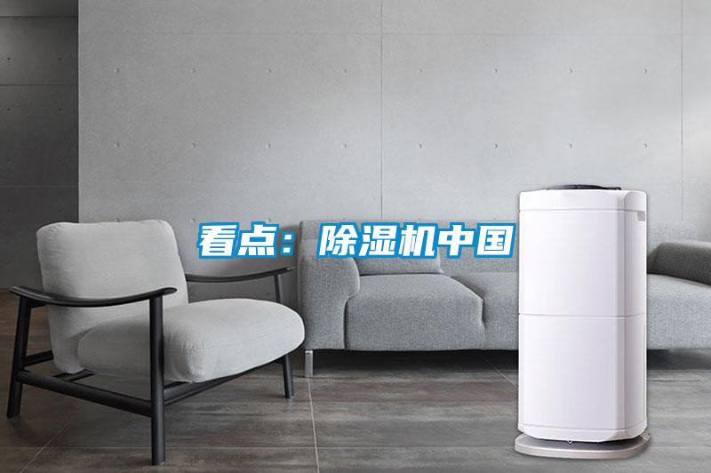 看點：除濕機中國