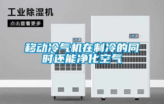 移動冷氣機在制冷的同時還能凈化空氣