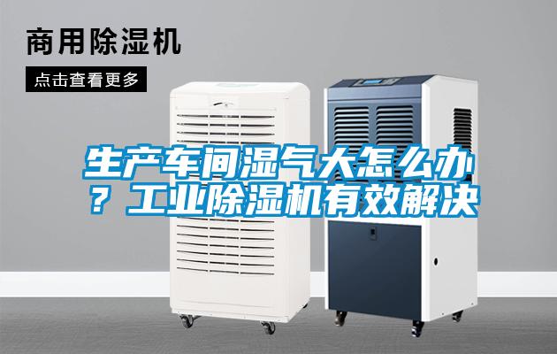 生產車間濕氣大怎么辦？工業除濕機有效解決