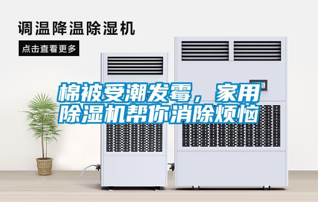 棉被受潮發霉，家用除濕機幫你消除煩惱