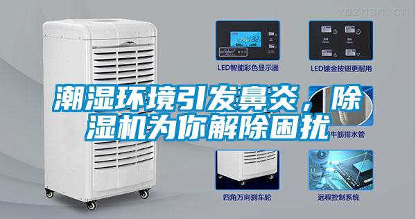 潮濕環(huán)境引發(fā)鼻炎，除濕機(jī)為你解除困擾