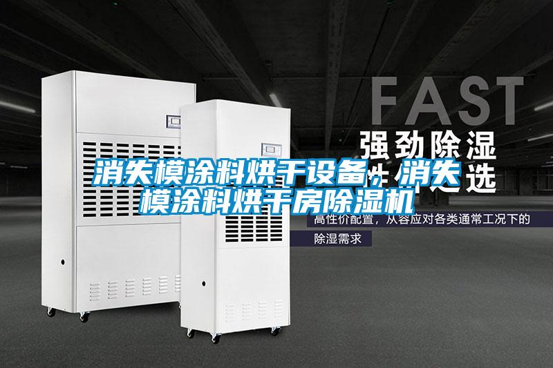 消失模涂料烘干設(shè)備，消失模涂料烘干房除濕機(jī)