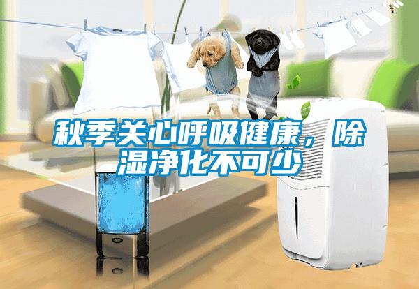 秋季關心呼吸健康，除濕凈化不可少