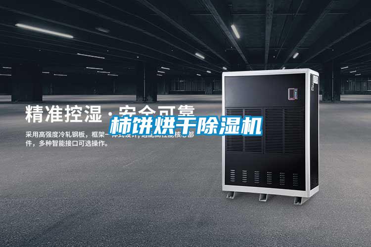 柿餅烘干除濕機