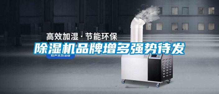 除濕機(jī)品牌增多強(qiáng)勢(shì)待發(fā)