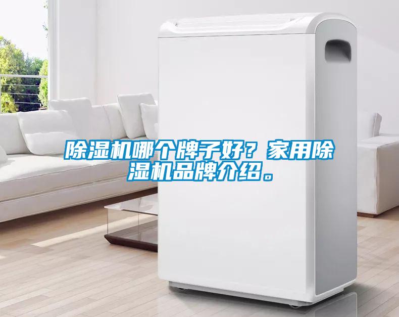 除濕機哪個牌子好？家用除濕機品牌介紹。