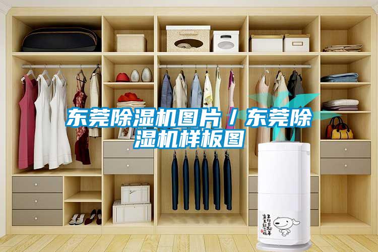 東莞除濕機圖片／東莞除濕機樣板圖