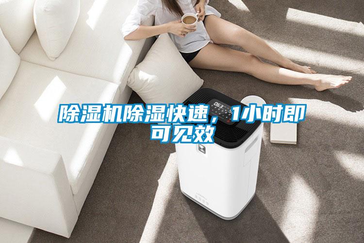 除濕機除濕快速，1小時即可見效