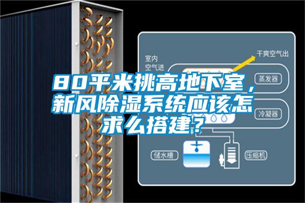 80平米挑高地下室，新風除濕系統應該怎求么搭建？