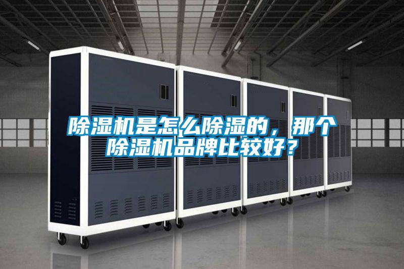 除濕機是怎么除濕的，那個除濕機品牌比較好？
