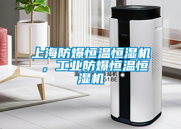 上海防爆恒溫恒濕機 ，工業(yè)防爆恒溫恒濕機