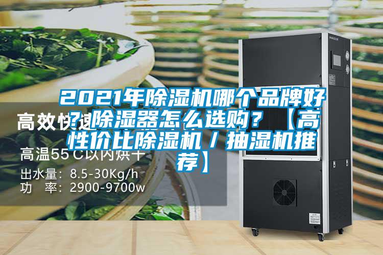 2021年除濕機哪個品牌好？除濕器怎么選購？【高性價比除濕機／抽濕機推薦】