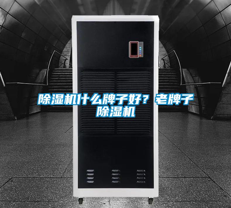除濕機什么牌子好？老牌子除濕機