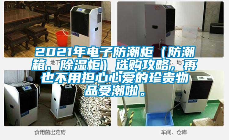 2021年電子防潮柜（防潮箱、除濕柜）選購攻略，再也不用擔心心愛的珍貴物品受潮啦。